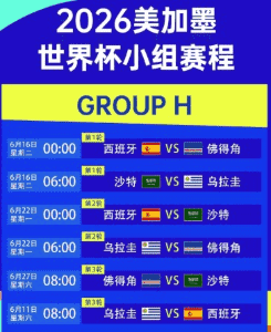 2026世界杯赛场球迷欢呼
